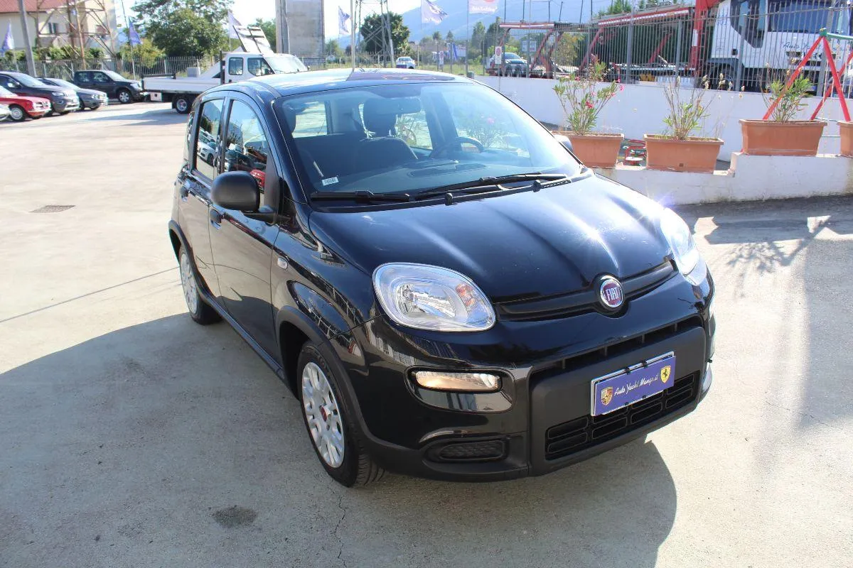 FIAT - Panda - 1.0 FireFly S&S Hybrid