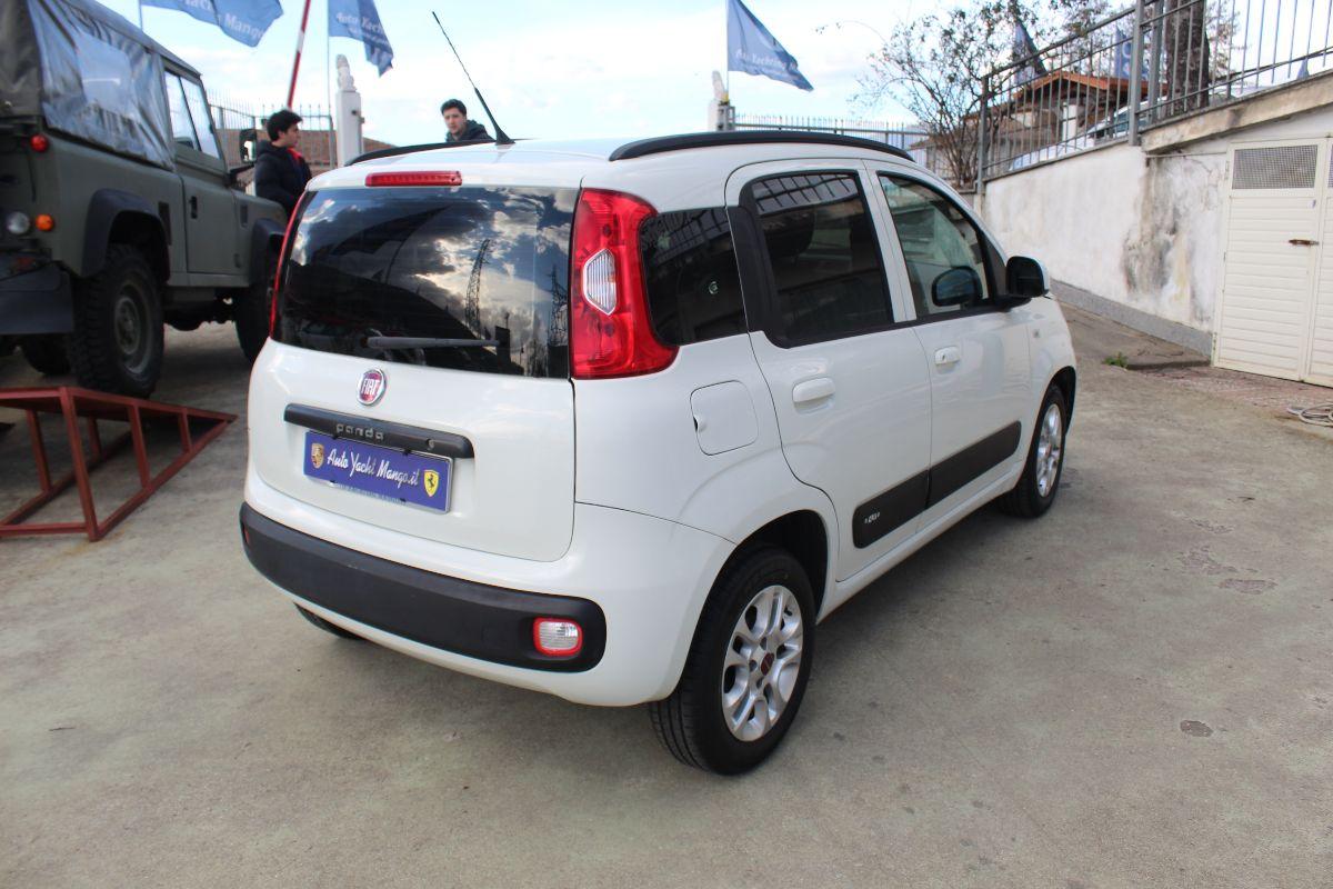 FIAT Panda usata - foto 5 | Auto Yachting Mango Padula