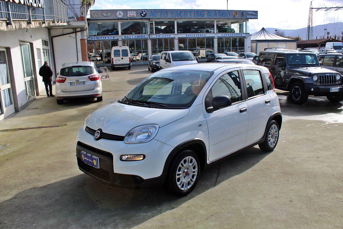 FIAT Panda usata - vista esterna | Auto Yachting Mango Padula