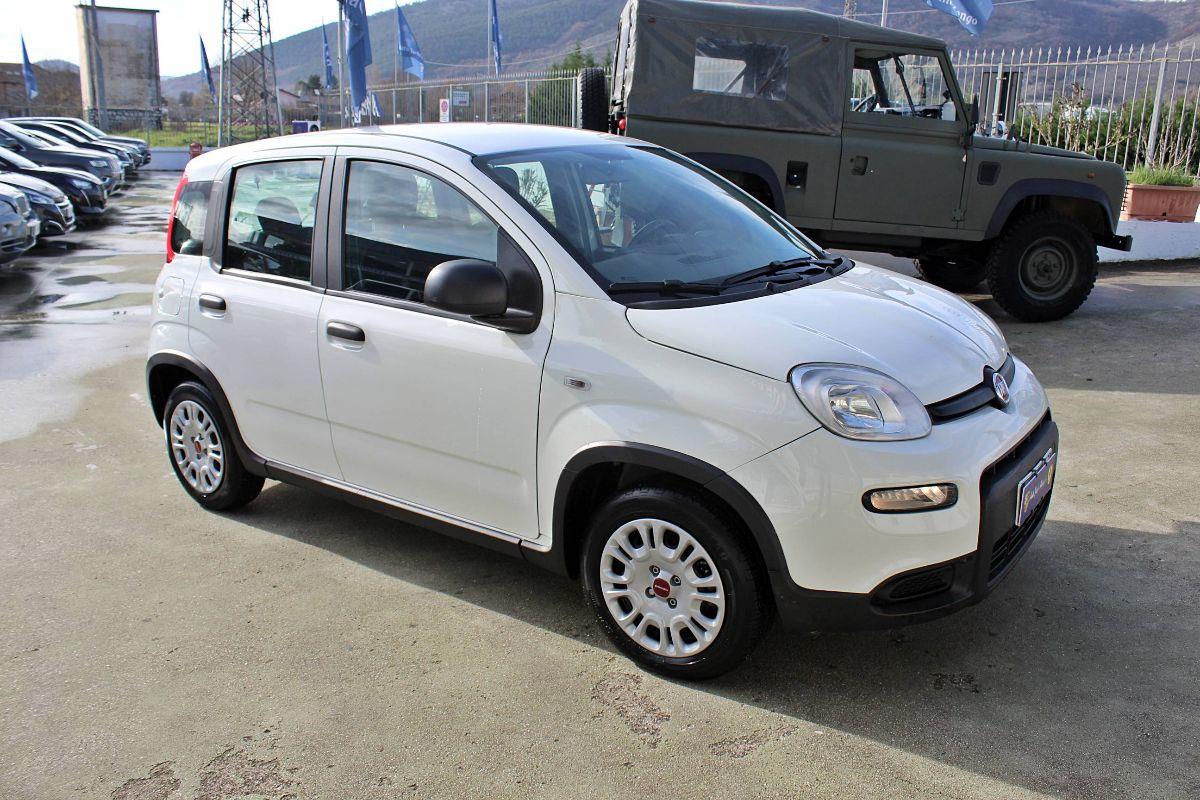 FIAT Panda usata - foto 3 | Auto Yachting Mango Padula
